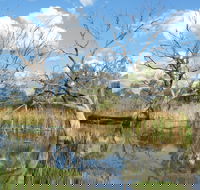 Lagoon Creek - Accommodation Mt Buller