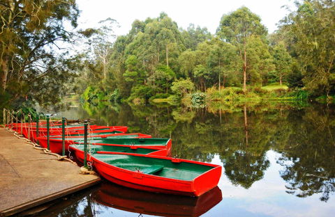 Lane Cove National Park - Accommodation Mt Buller 0