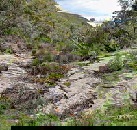 Lynchs Loop Trail - Accommodation Mt Buller