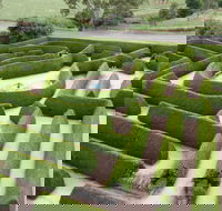 Mintaro Maze - Accommodation Mt Buller