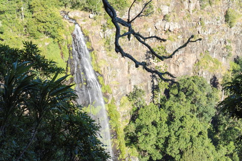 Morans Falls Track, Lamington National Park - Accommodation Mt Buller 0
