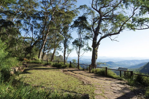 Morans Falls Track, Lamington National Park - Accommodation Mt Buller 1