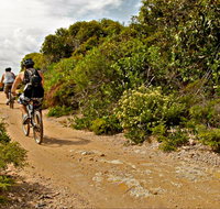 Mountain Biking Trails