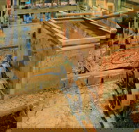 Mountain Maid gold mine