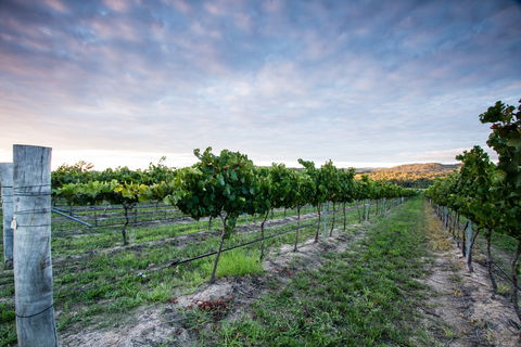 Nature And Foodies Trail - Accommodation Mt Buller 0