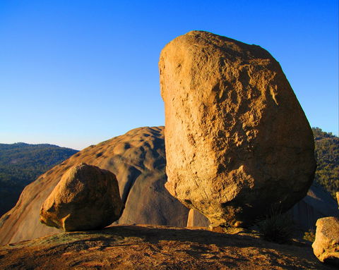 Nature And Foodies Trail - Accommodation Mt Buller 1