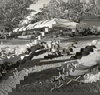 Pioneer Park - Accommodation Mt Buller