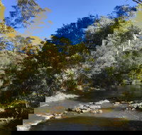 Pipers River Board Walk - Accommodation Mt Buller