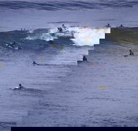 Point Addis Marine National Park - Accommodation Mt Buller