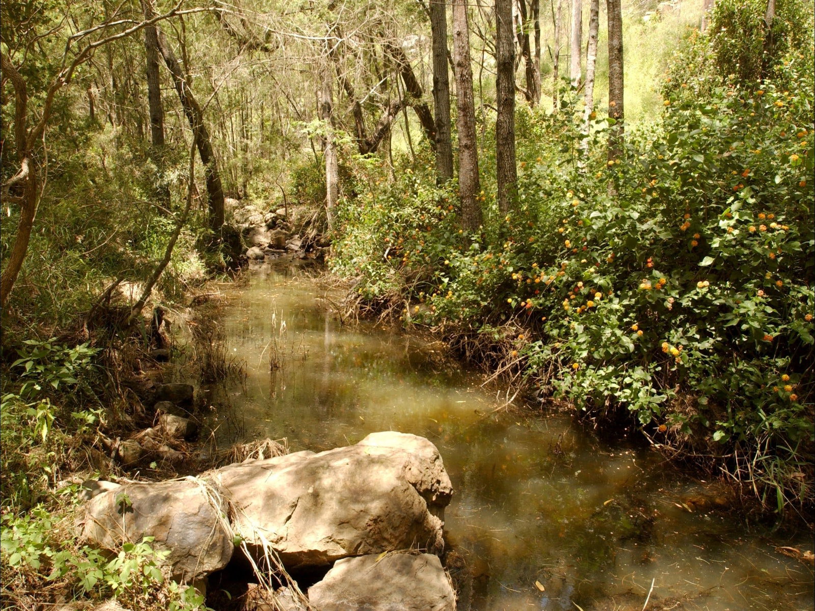  Accommodation Mt Buller
