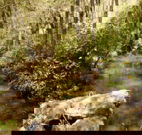 Sandy Creek Track - Accommodation Mt Buller