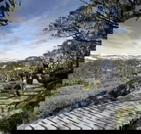 Snow Gums boardwalk - Accommodation Mt Buller