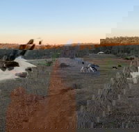 The Llama Farm - Accommodation Mt Buller