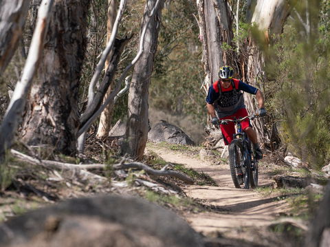 Thredbo Valley Track - Accommodation Mt Buller 2