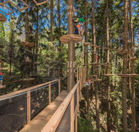 TreeTops Sydney The Hills - Accommodation Mt Buller