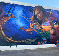 Walk The Walls Cronulla Street Art Trail - Accommodation Mt Buller
