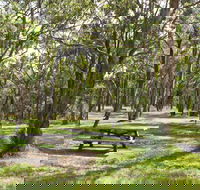 Wollomombi Gorge and Falls Picnic Area - Accommodation Mt Buller
