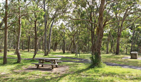 Wollomombi Gorge And Falls Picnic Area - Accommodation Mt Buller 0