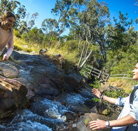 Yackandandah Gorge Scenic Walk - Accommodation Mt Buller
