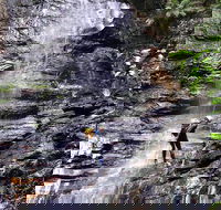 Full-Day Canyoning Experience at Stunning Empress Canyon - Accommodation Mt Buller
