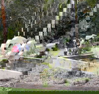 Maroochy Regional Bushland Botanic Garden - Accommodation Mt Buller