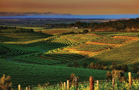 Mclaren Vale - Accommodation Mt Buller 1
