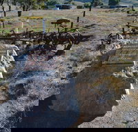 Wangaraleednie Monument  Ruins - Accommodation Mt Buller