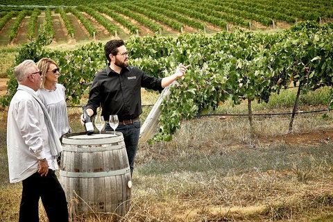 VIP Soil-To-Cellar Experience - Accommodation Mt Buller 0