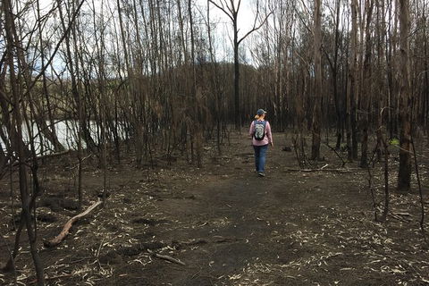 Fishermans Paradise Eco-walk - Accommodation Mt Buller 5