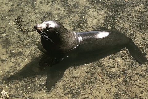 South Coast Photography Field Day - Accommodation Mt Buller 5