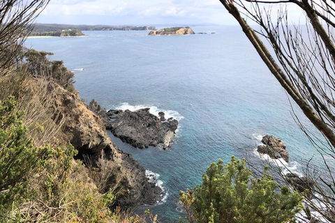 South Coast Photography Field Day - Accommodation Mt Buller 8