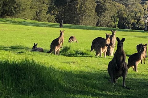 South Coast Photography Field Day - Accommodation Mt Buller 6
