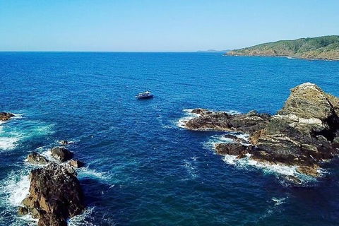 Julian Rocks Byron Bay Cruise - Accommodation Mt Buller 15