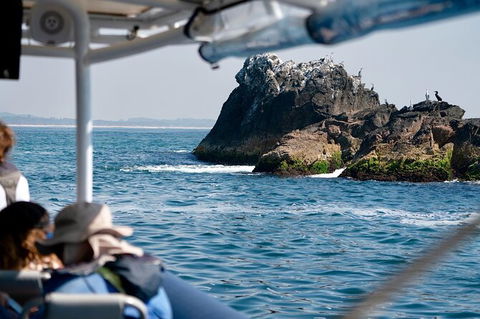 Julian Rocks Byron Bay Cruise - Accommodation Mt Buller 20