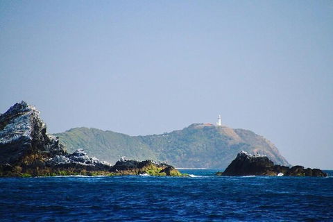 Julian Rocks Byron Bay Cruise - Accommodation Mt Buller 2