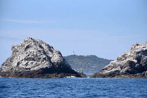 Julian Rocks Byron Bay Cruise - Accommodation Mt Buller 14