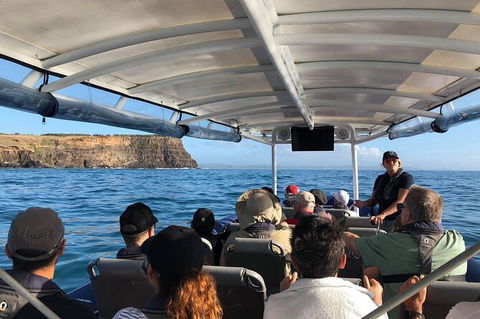 Julian Rocks Byron Bay Cruise - Accommodation Mt Buller 5