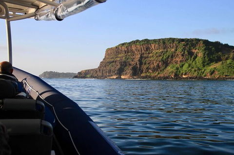 Julian Rocks Byron Bay Cruise - Accommodation Mt Buller 17