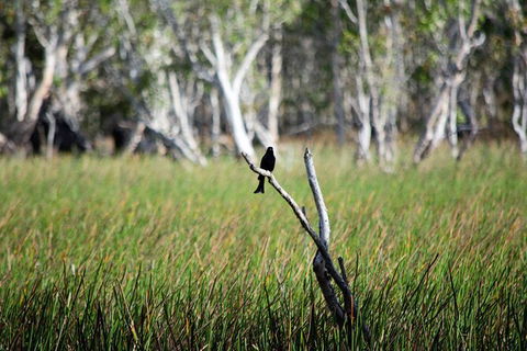 ETHICAL ADVENTURES - Dry Season Litchfield Region, Max 10 Guests - Accommodation Mt Buller 2