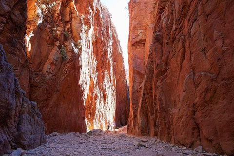 Best Of Alice Springs Full Day Tour - Accommodation Mt Buller 6