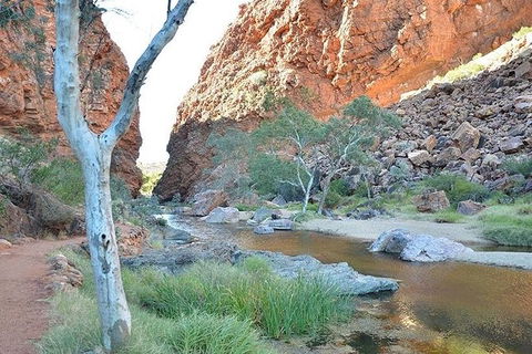 Alice Springs, Uluru Ayers Rock & Kings Canyon 8 Days Touring Package - Accommodation Mt Buller 2