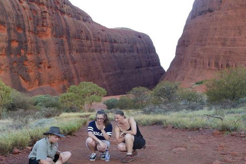 5-Hour Kata Tjuta Sunrise Tour From Ayers Rock With Breakfast - Accommodation Mt Buller 3