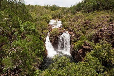 5 Day Kakadu National Park And Arnhem Land Tour - Accommodation Mt Buller 1