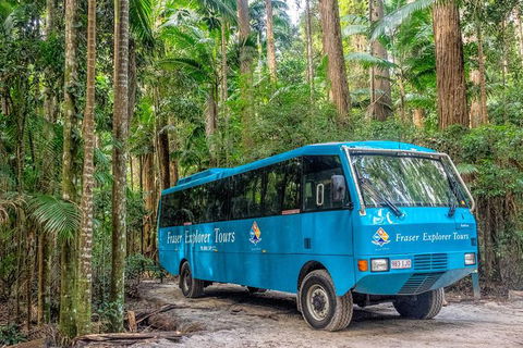 All-Inclusive Fraser Island Day Tour - Accommodation Mt Buller 0