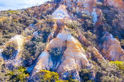All-Inclusive Fraser Island Day Tour - Accommodation Mt Buller 1