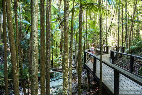 All-Inclusive Fraser Island Day Tour - Accommodation Mt Buller 7