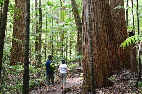All-Inclusive Fraser Island Day Tour - Accommodation Mt Buller 6