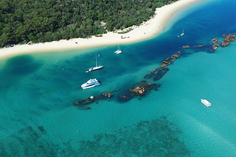 All Inclusive Dolphin And Tangalooma Wrecks Cruise - Accommodation Mt Buller 3