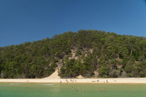 All Inclusive Dolphin And Tangalooma Wrecks Cruise - Accommodation Mt Buller 4