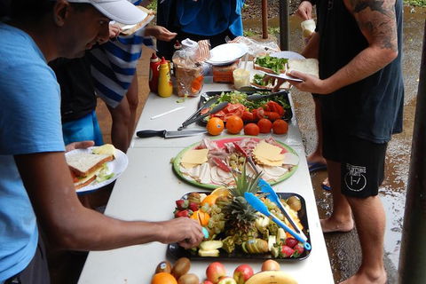 Atherton Tablelands Waterfalls Tour From Cairns - Accommodation Mt Buller 3